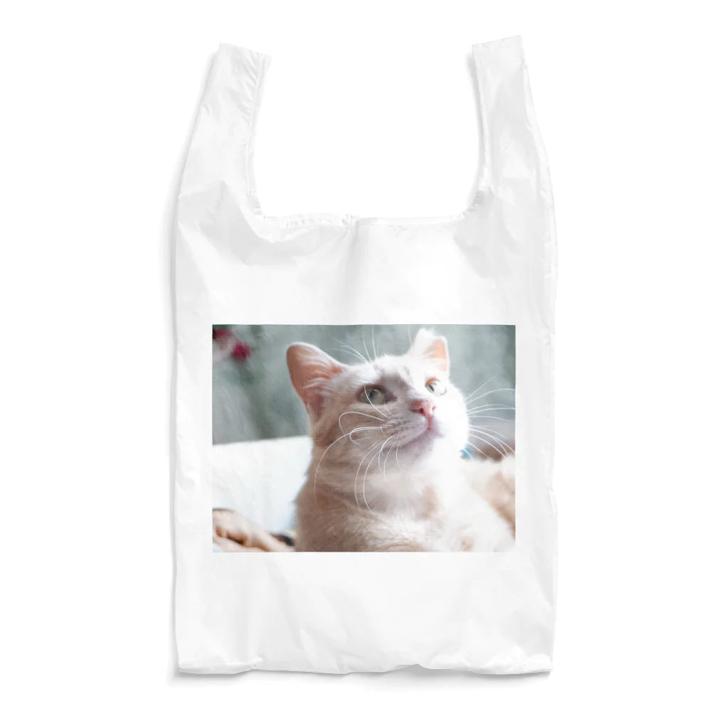 真野 康彦@自給自足型ネコのミカンチャン Reusable Bag