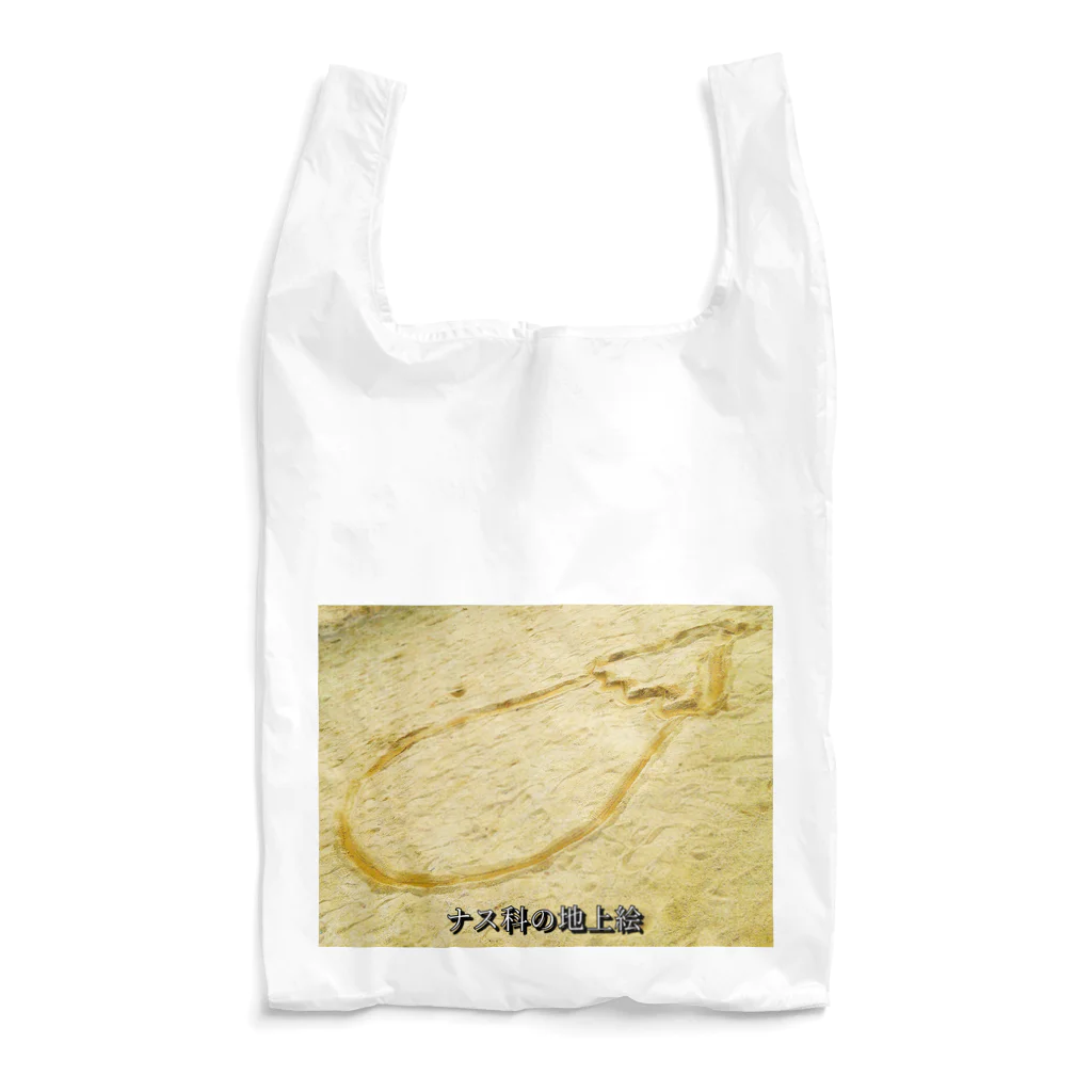 39Sのナス科の地上絵 Reusable Bag