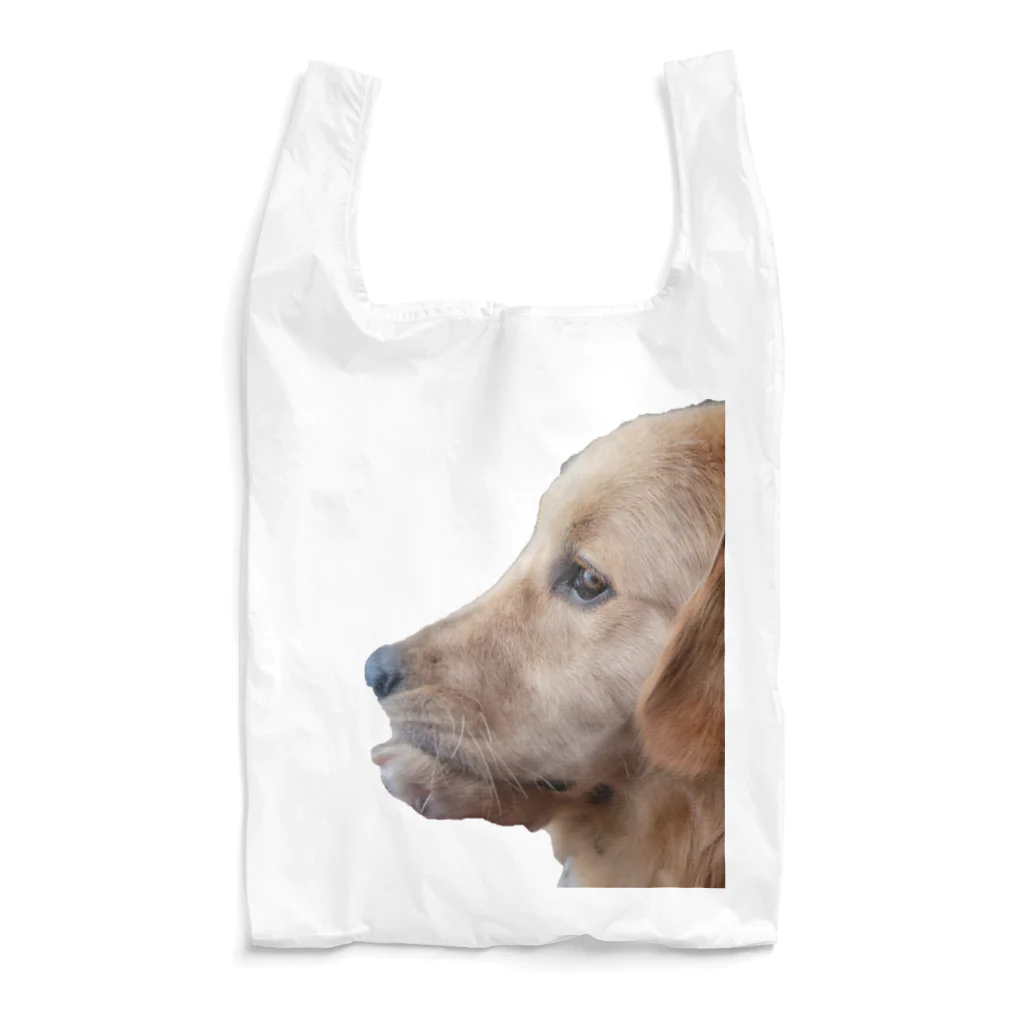 LUKE.MのLUKE Reusable Bag