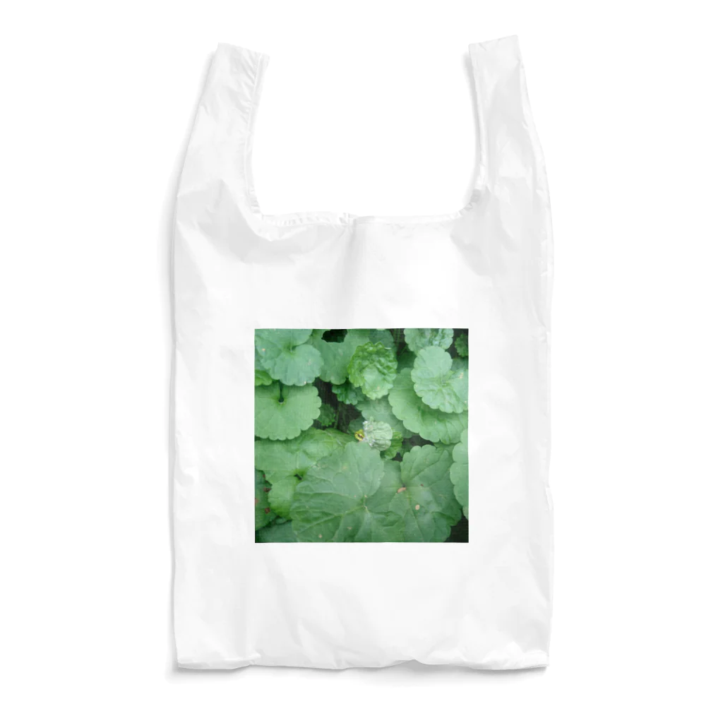 うつし堂のニホンアマガエル A Reusable Bag