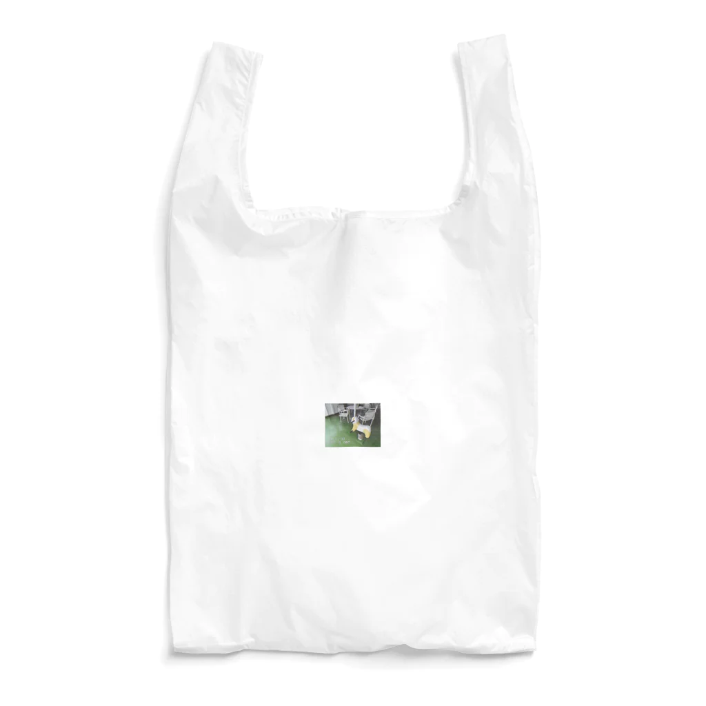 ムラオカのＲＥＴＲＯ　ＰＡＮＤＡ Reusable Bag