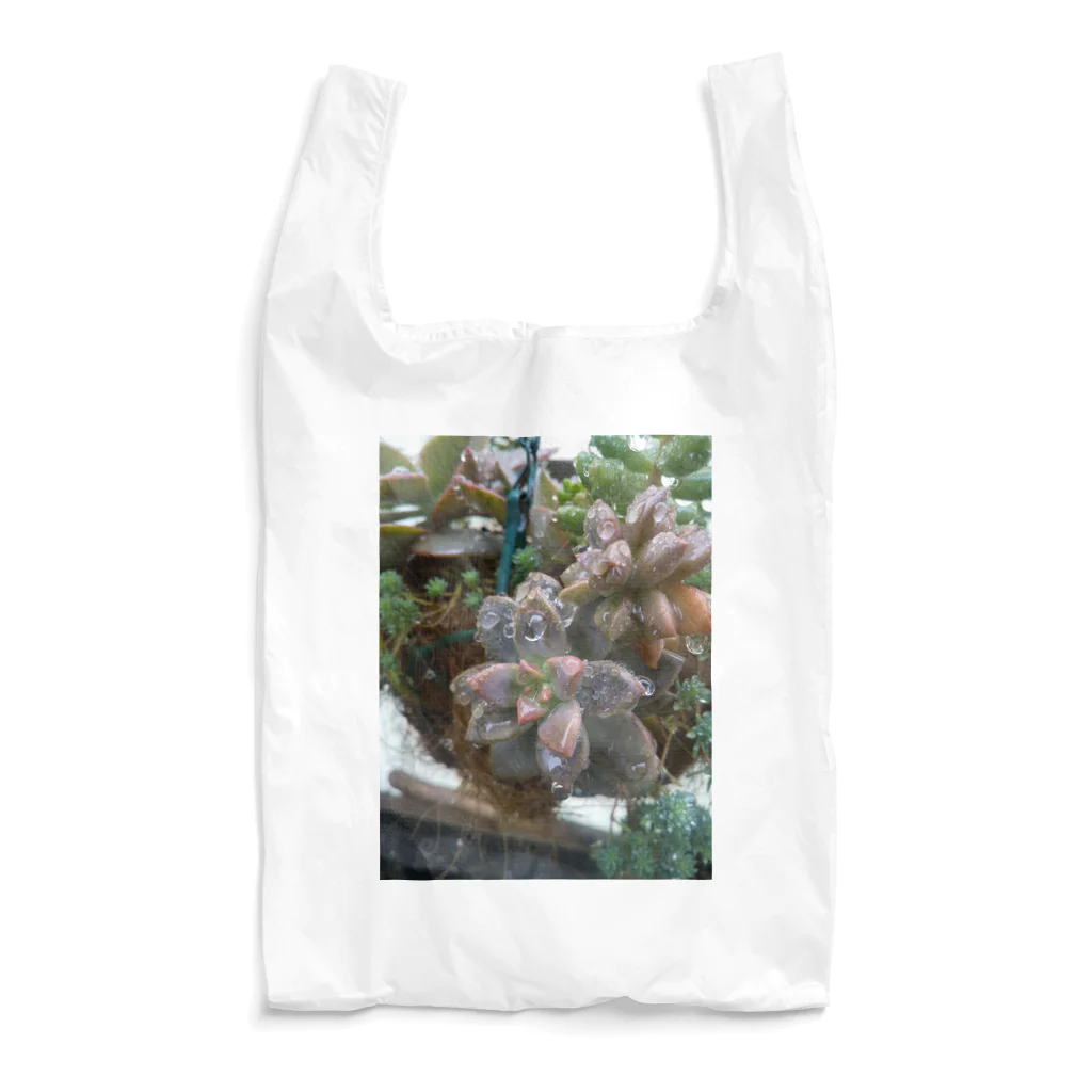 ミクロの雨の中の多肉植物 Reusable Bag