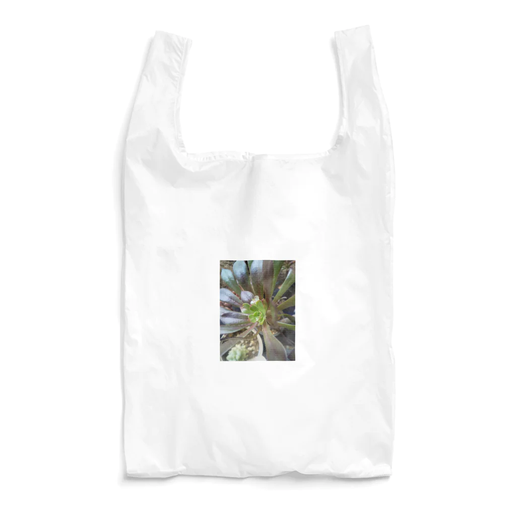 ミクロの多肉植物の黒法師 Reusable Bag