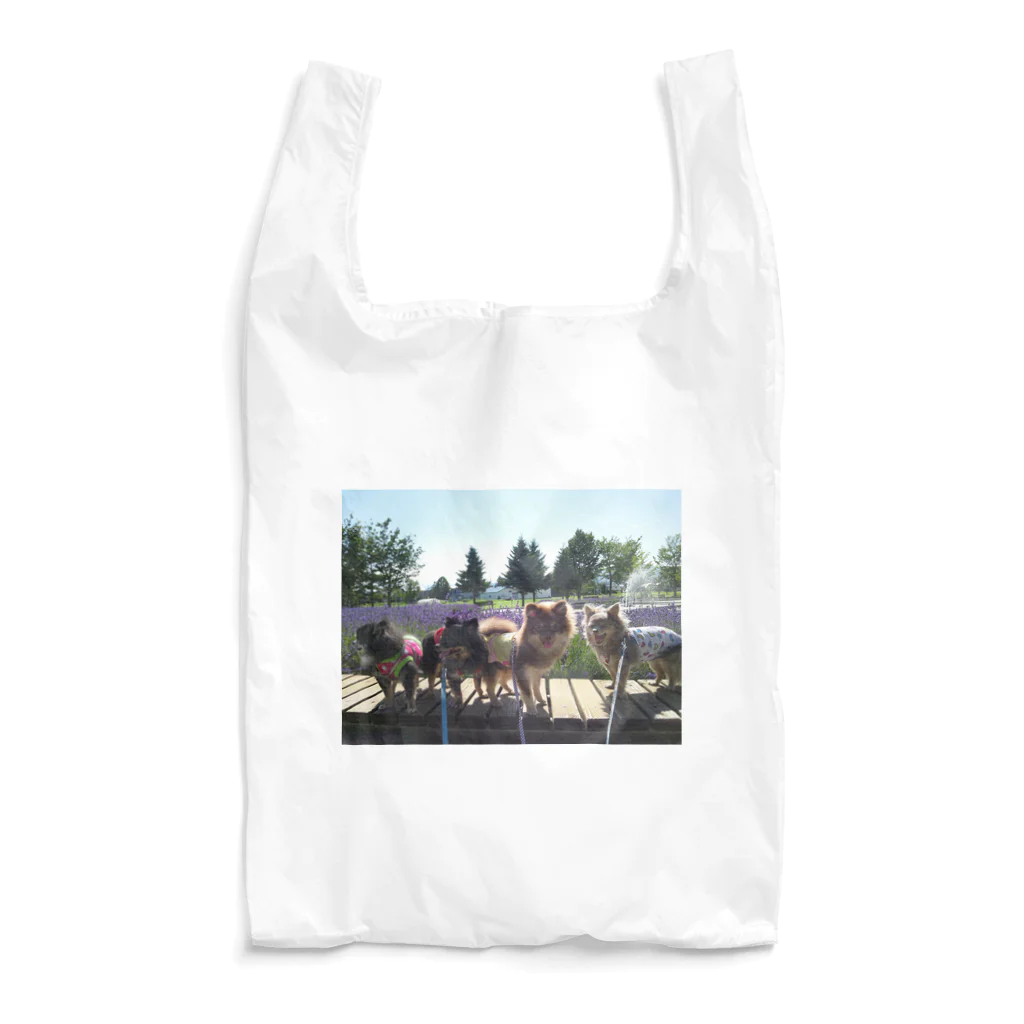 3（4？）わんの4わん Reusable Bag