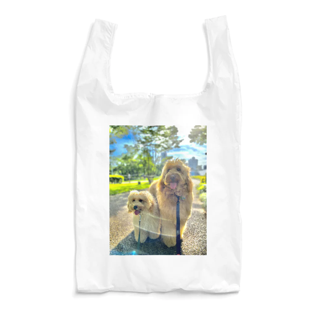 yoshie suganoのお散歩レイマグ🐾 Reusable Bag