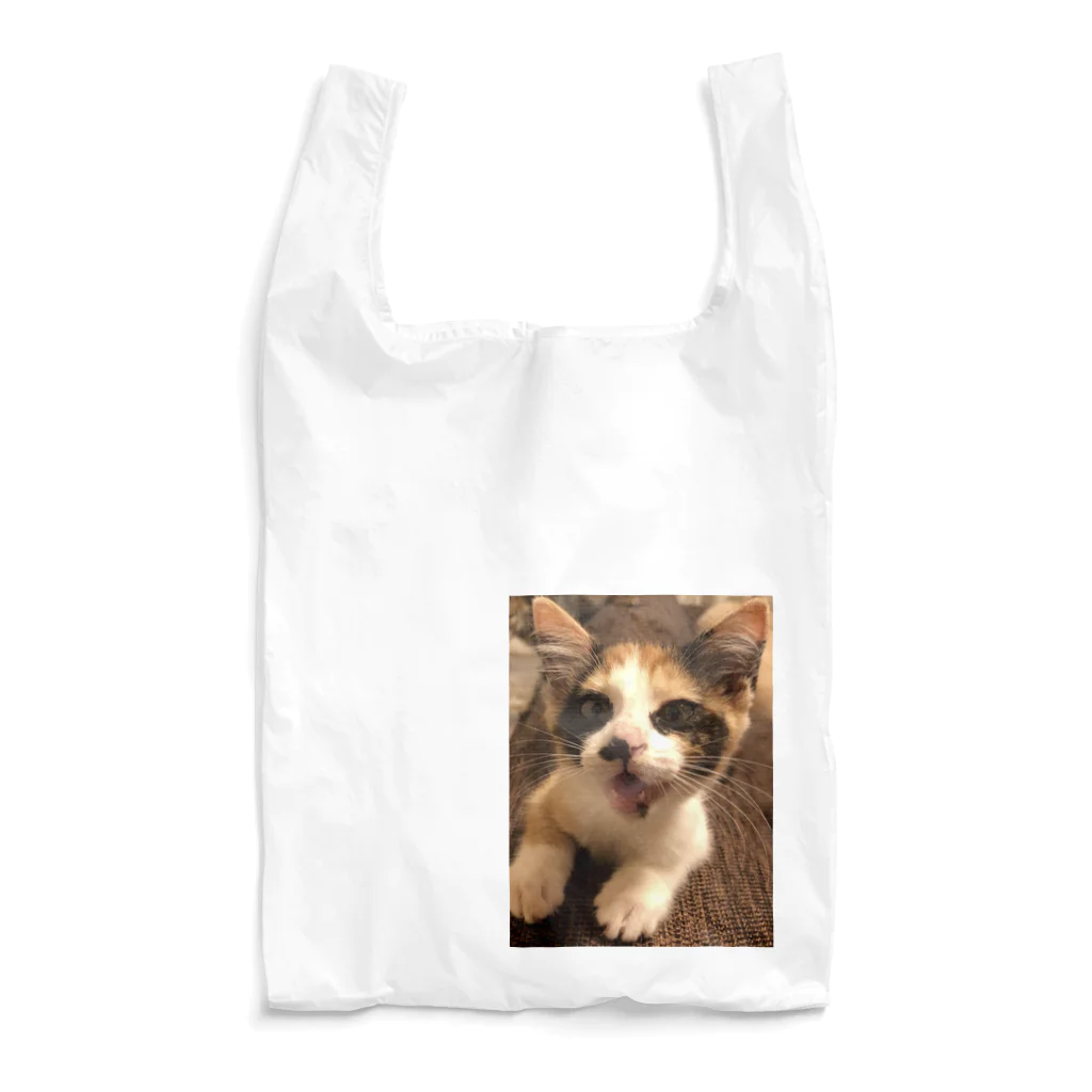 ALIBELのシャー Reusable Bag