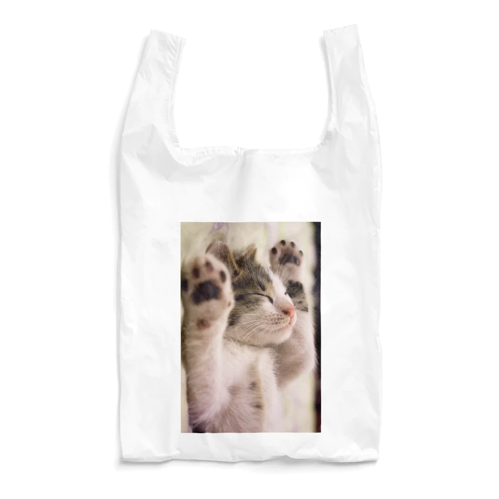 レトロ原宿のすやすや猫ちゃん Reusable Bag