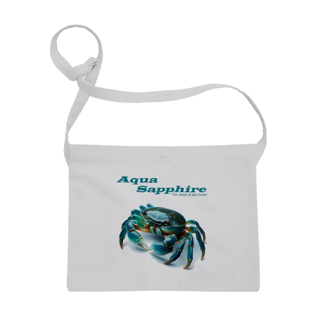 MatrixSphereのAqua Sapphire Sacoche