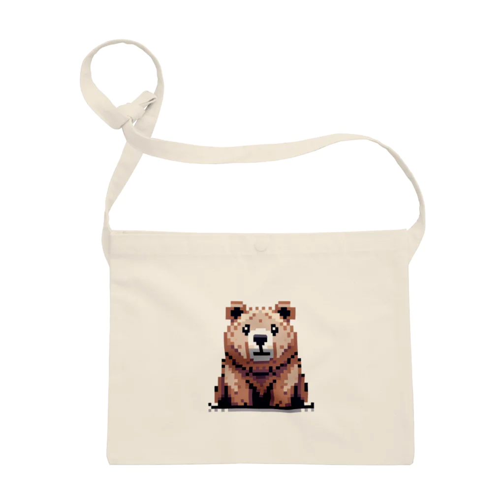 PiXΣLのbaird bear /type.1 サコッシュ