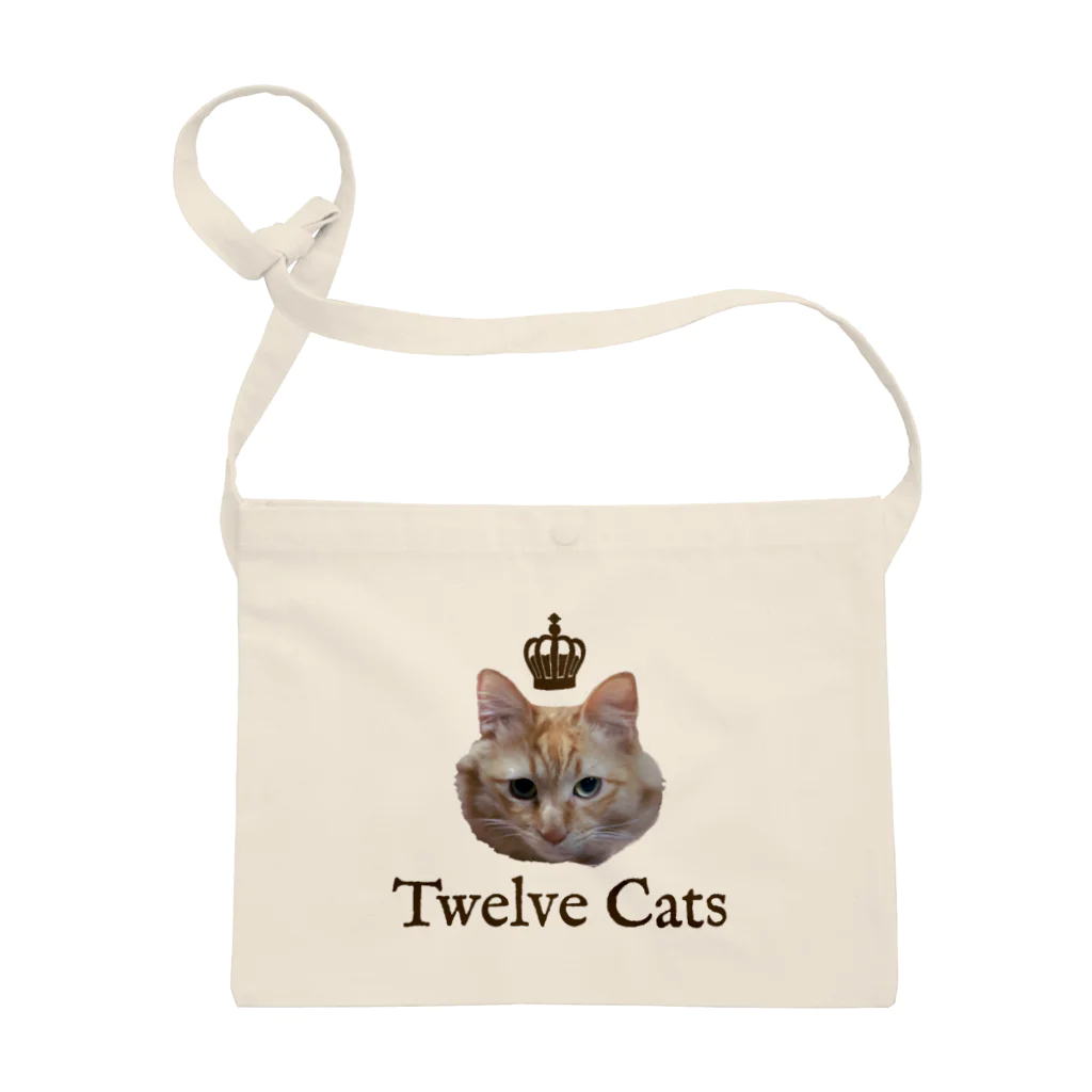 Twelve Catsの百獣の王 Sacoche