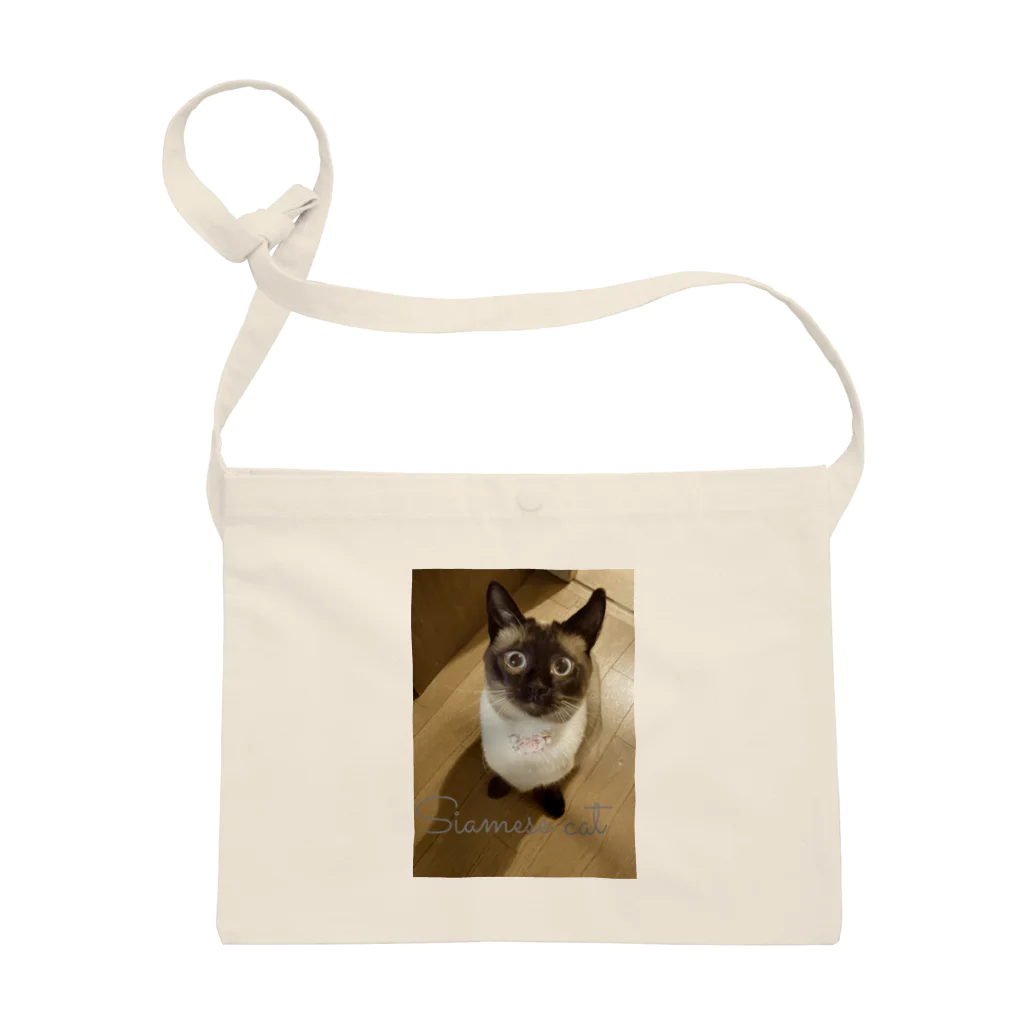 Siamese cat シャムのSiamese cat シャム猫 Sacoche