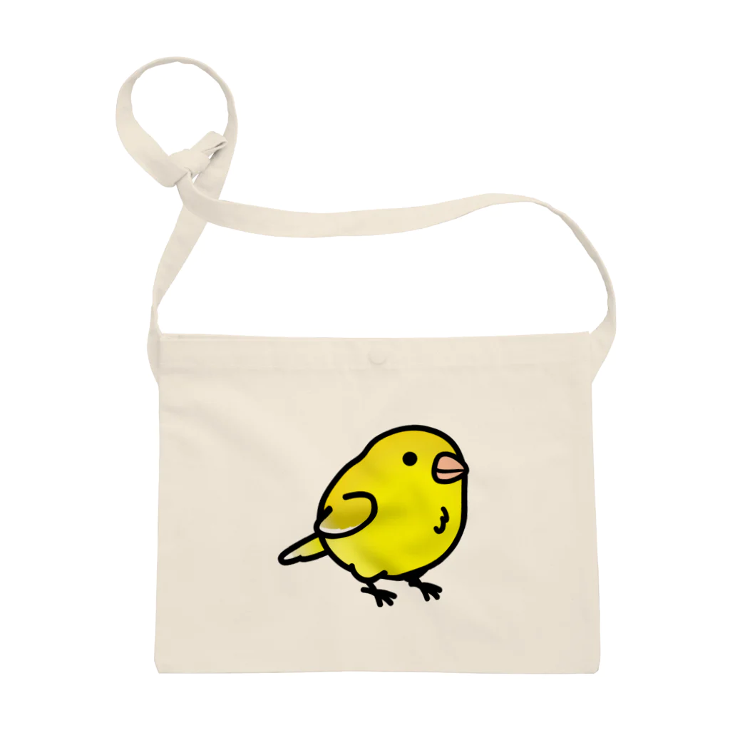 Cody the LovebirdのChubby Bird　カナリア Sacoche