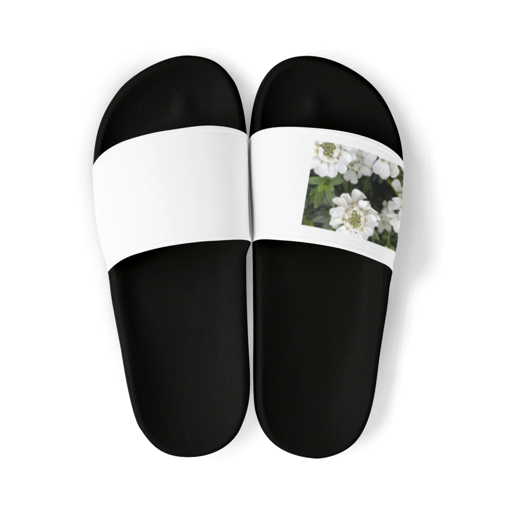 ccccandyのwkwk02 Sandals