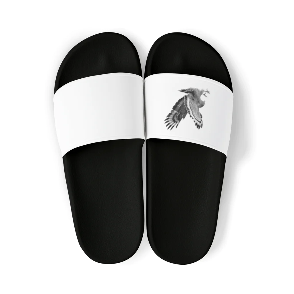 WILDBIRD GOODS SHOPのカンムリワシ・モノクロ Sandals