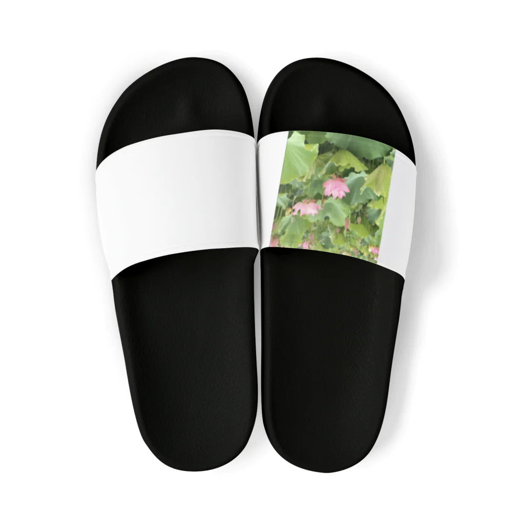 ぴー様と髭男の蓮の花です Sandals