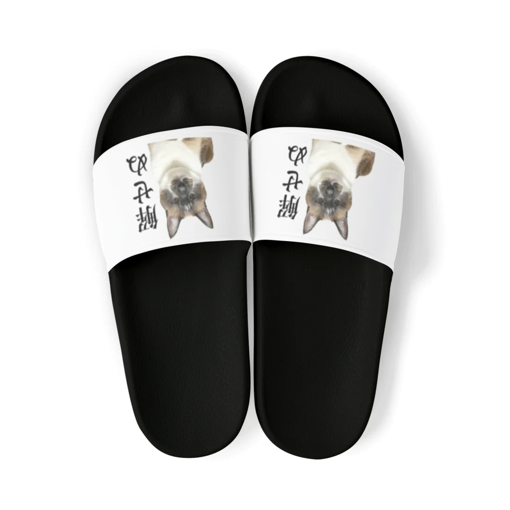 ねこまみれの解せぬ Sandals