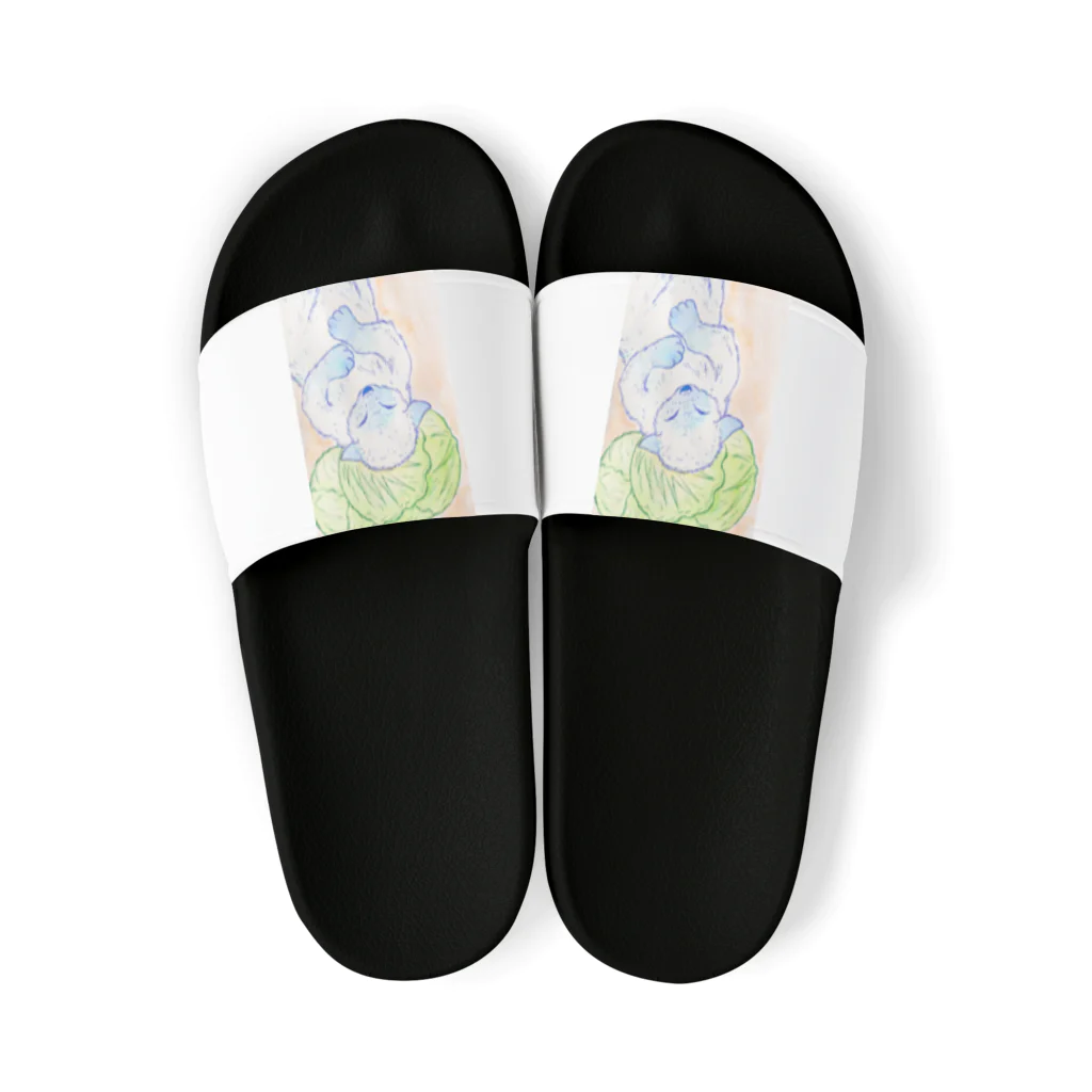 ぼくらの時間（みどり色）のキャベツで居眠り。 Sandals