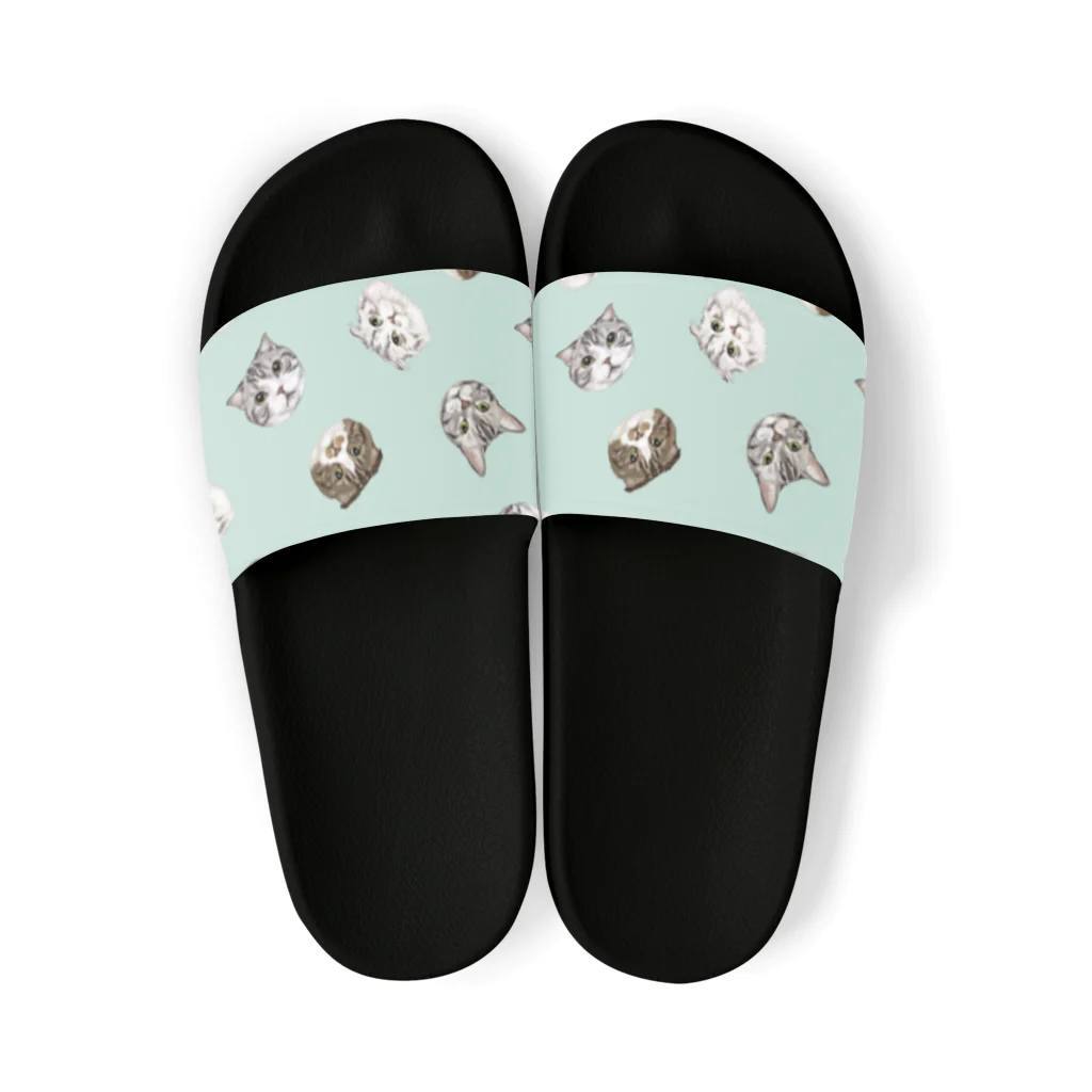 みきぞーん｜保護猫 ミッキー画伯と肉球とおともだちのden suu sho kaki Sandals