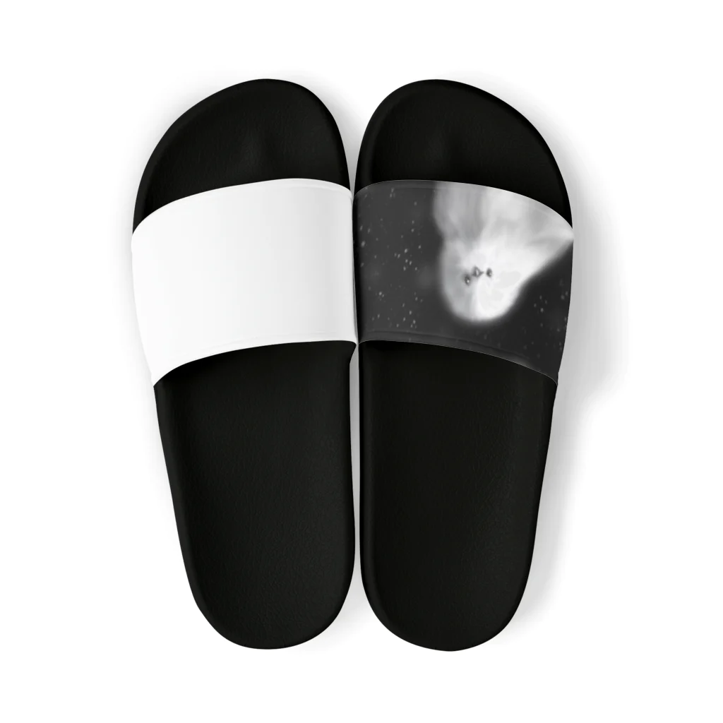 dejavu artsのa snow bird Sandals