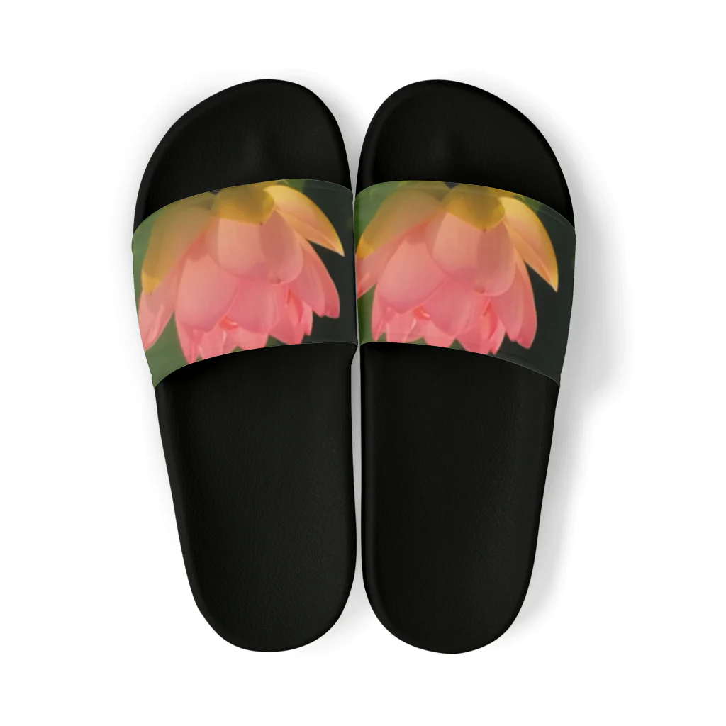 ＲＡＢＩＭＩＷの蓮の花 Sandals