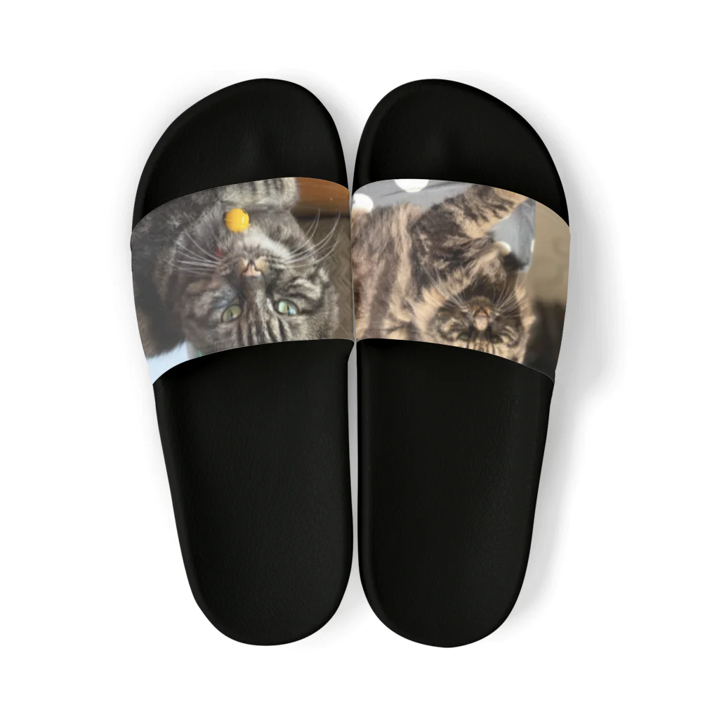 熊さんのshopの兄貴猫 Sandals