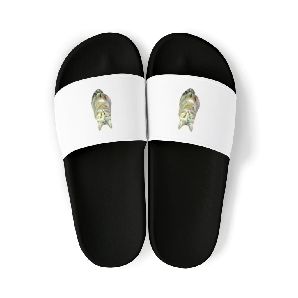 桃くるみSHOPのしっぽマフラーにゃん Sandals