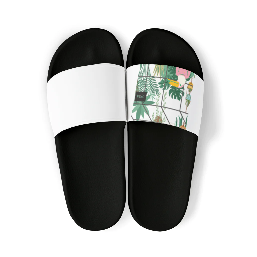 ちゃんごんのおうちの南国の観葉植物店 Sandals