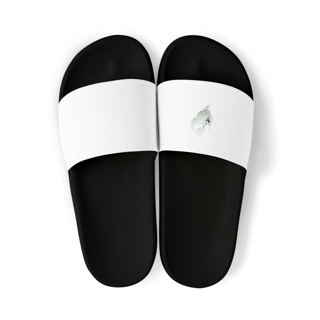 marospitzのしろいぬ Sandals