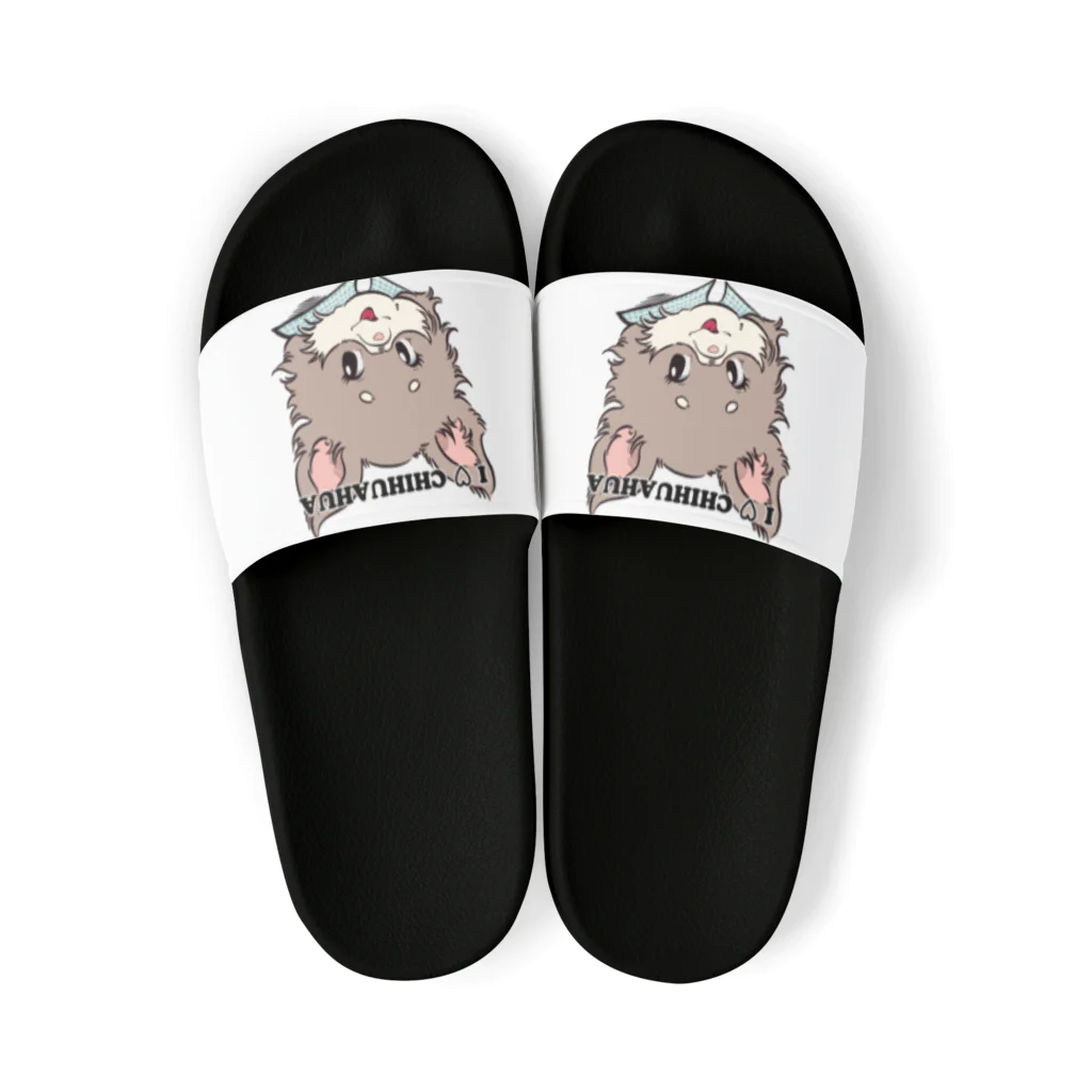 チャリティーグッズ-犬専門デザインのチワワ-チョコタン「I♡CHIHUAHUA」 Sandals