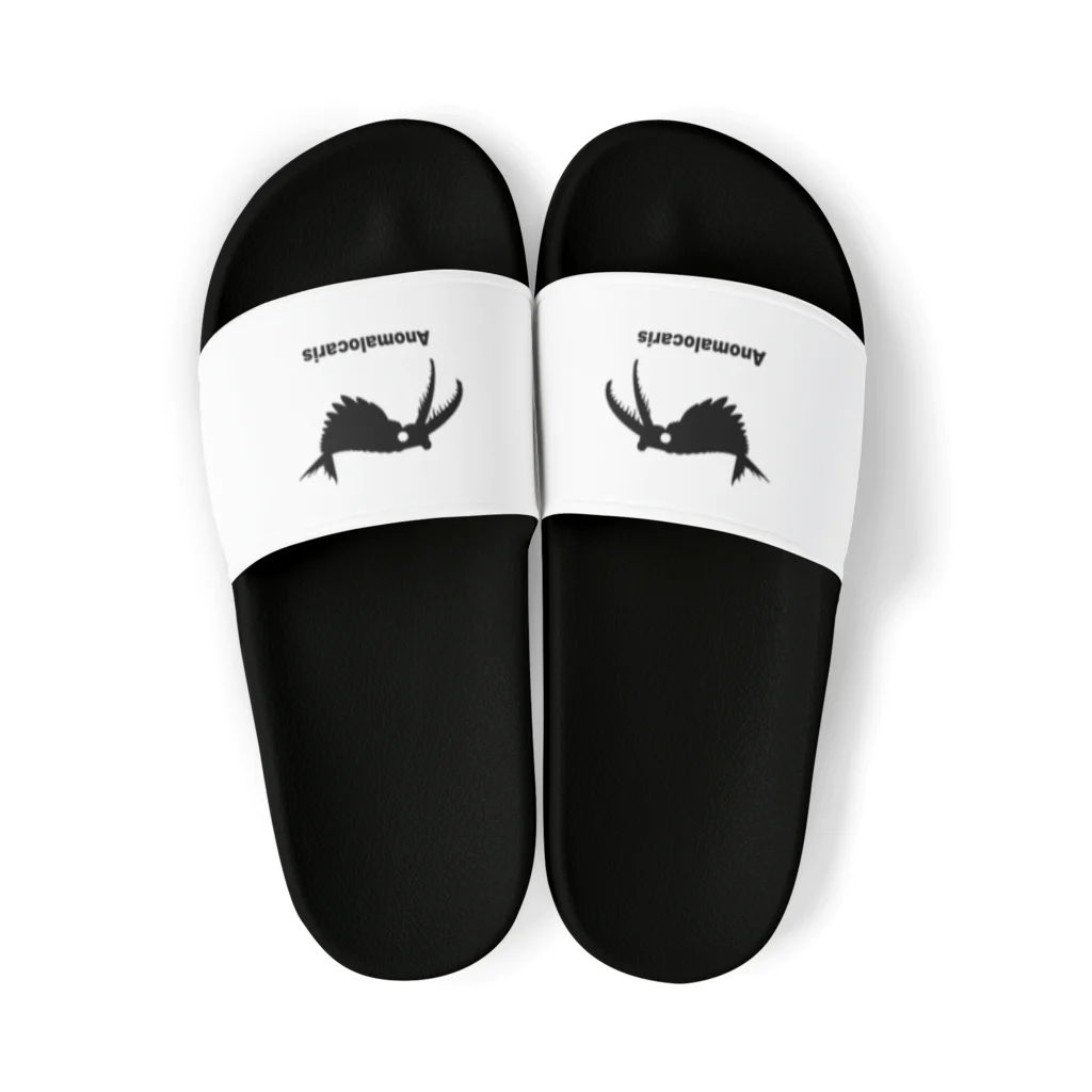 puikkoの古生物　アノマロカリス Sandals