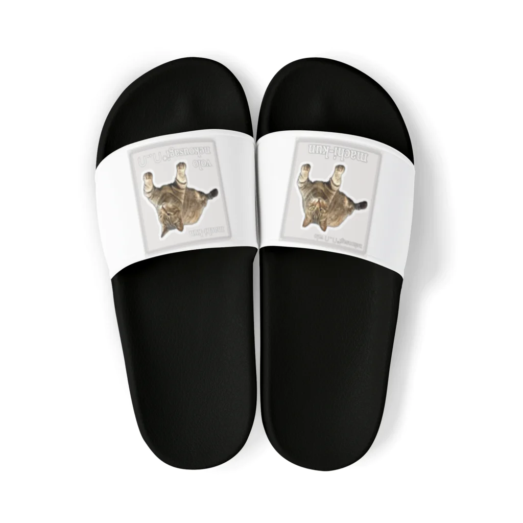 nekousagi*∩..∩の忠猫マチくん(ロゴ入り) Sandals