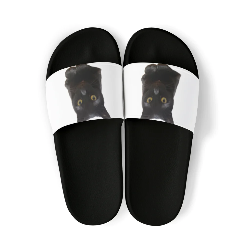 ソヒのショップのリラックス黒猫 Sandals