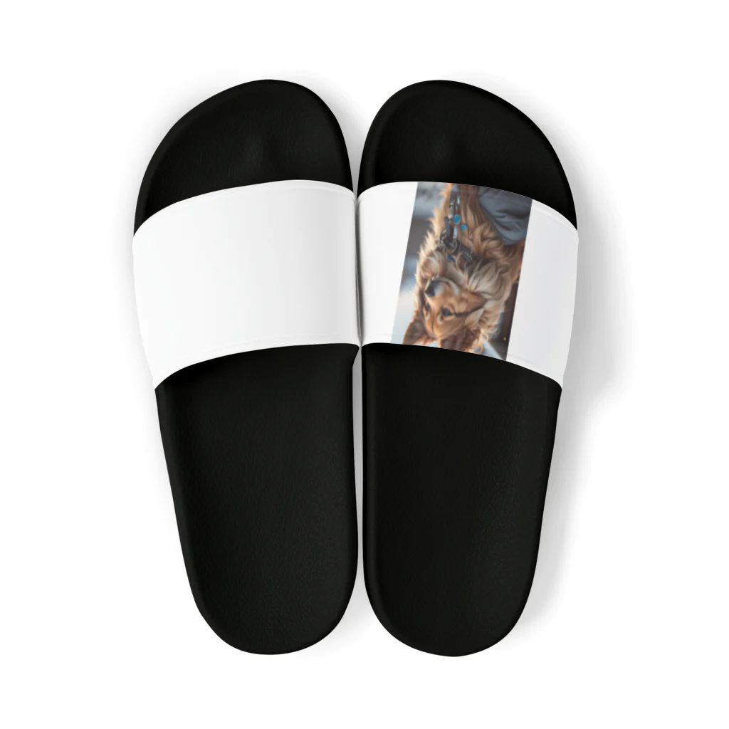 majuiceの凛々しい犬 Sandals