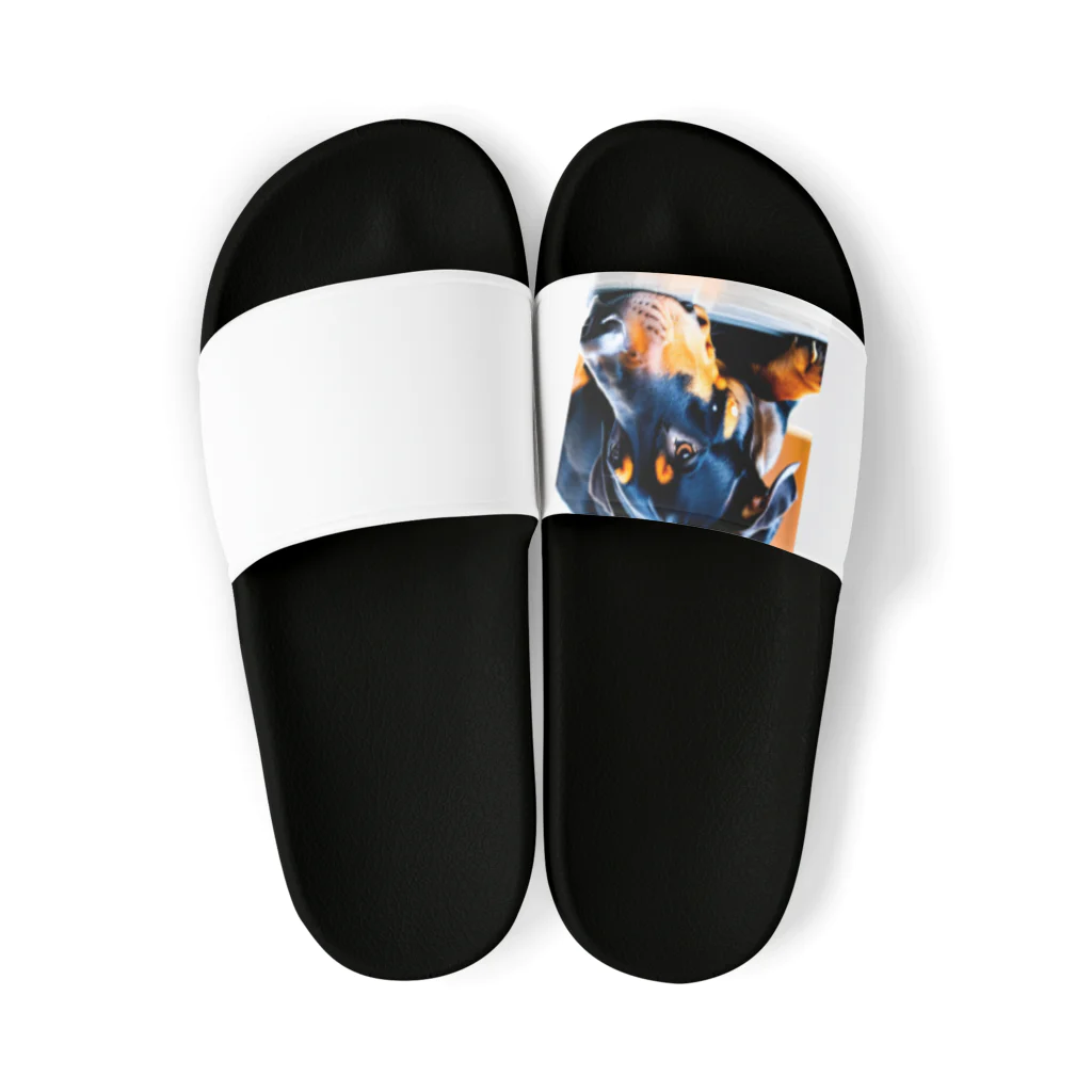 犬バカ部のタレミミドーベルマン Sandals