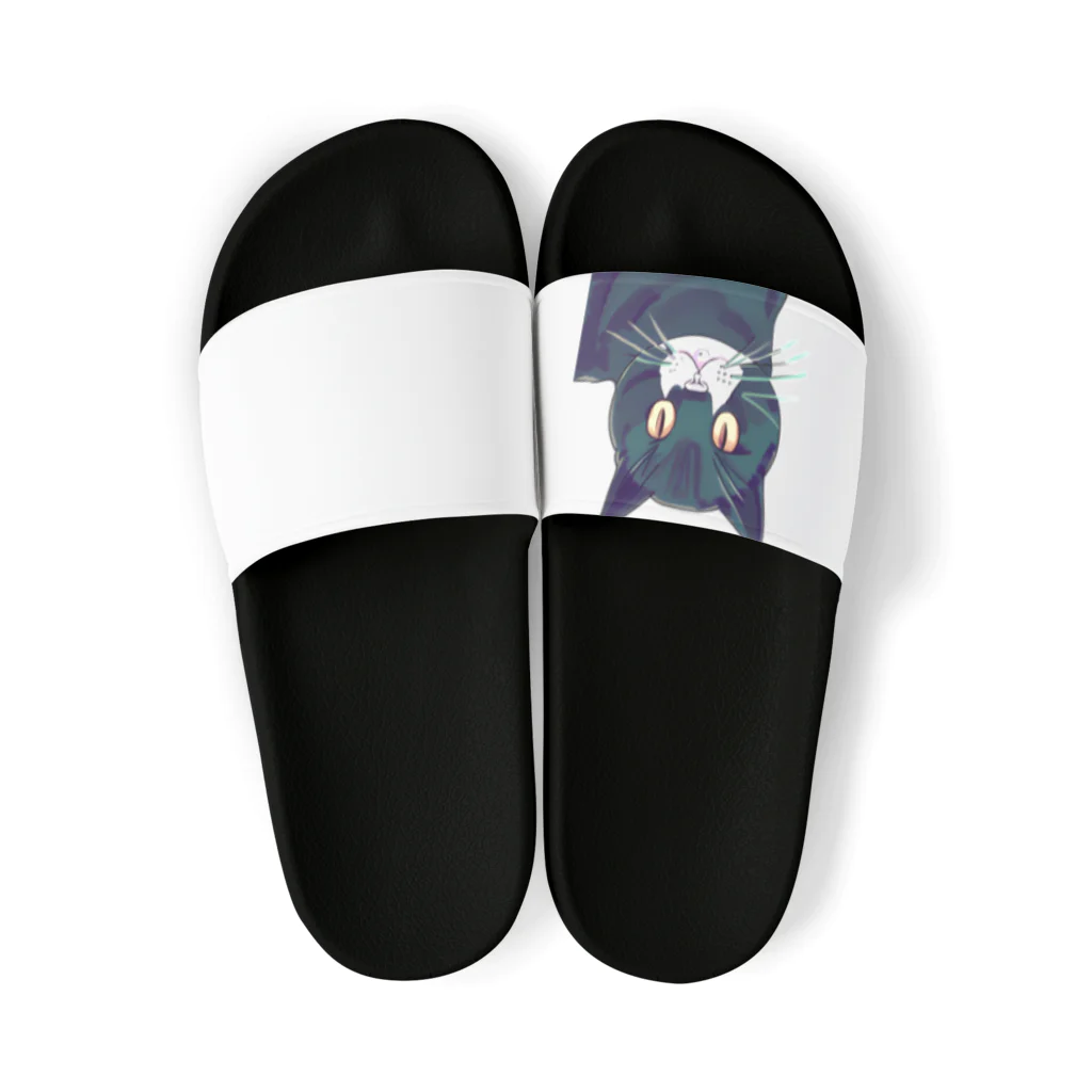 俺のショップの猫ちゃん Sandals