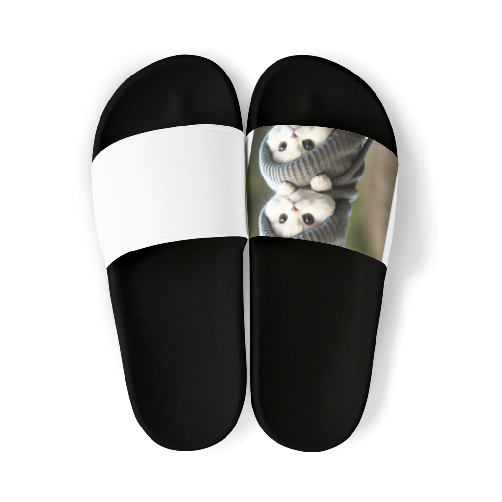 antianliang77の猫ちゃん三つ子 Sandals