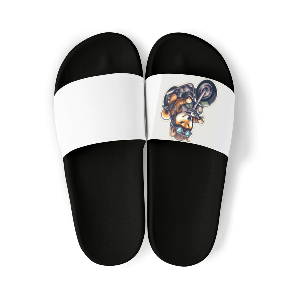 シバライダーロードの柴ライダーロードshiba31 Sandals