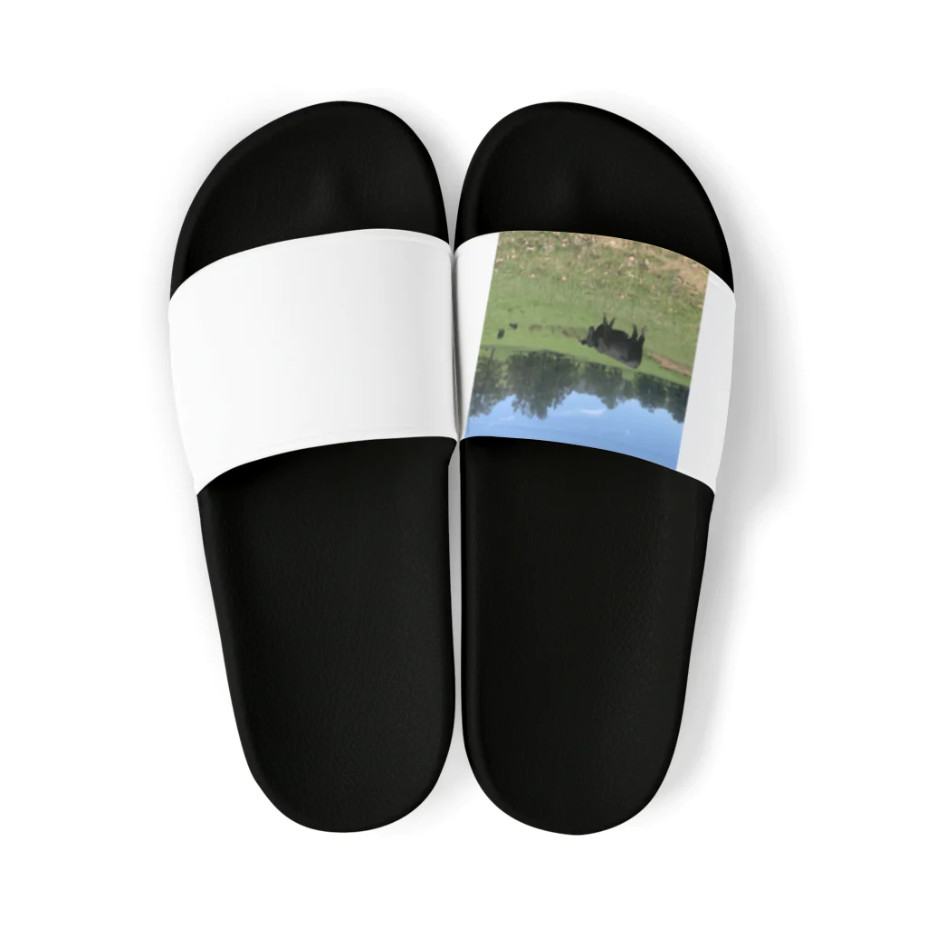 YASUE ABE JPのFarm Sandals