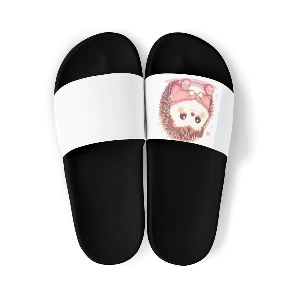 TOM24の済んだ瞳のハリーくん Sandals