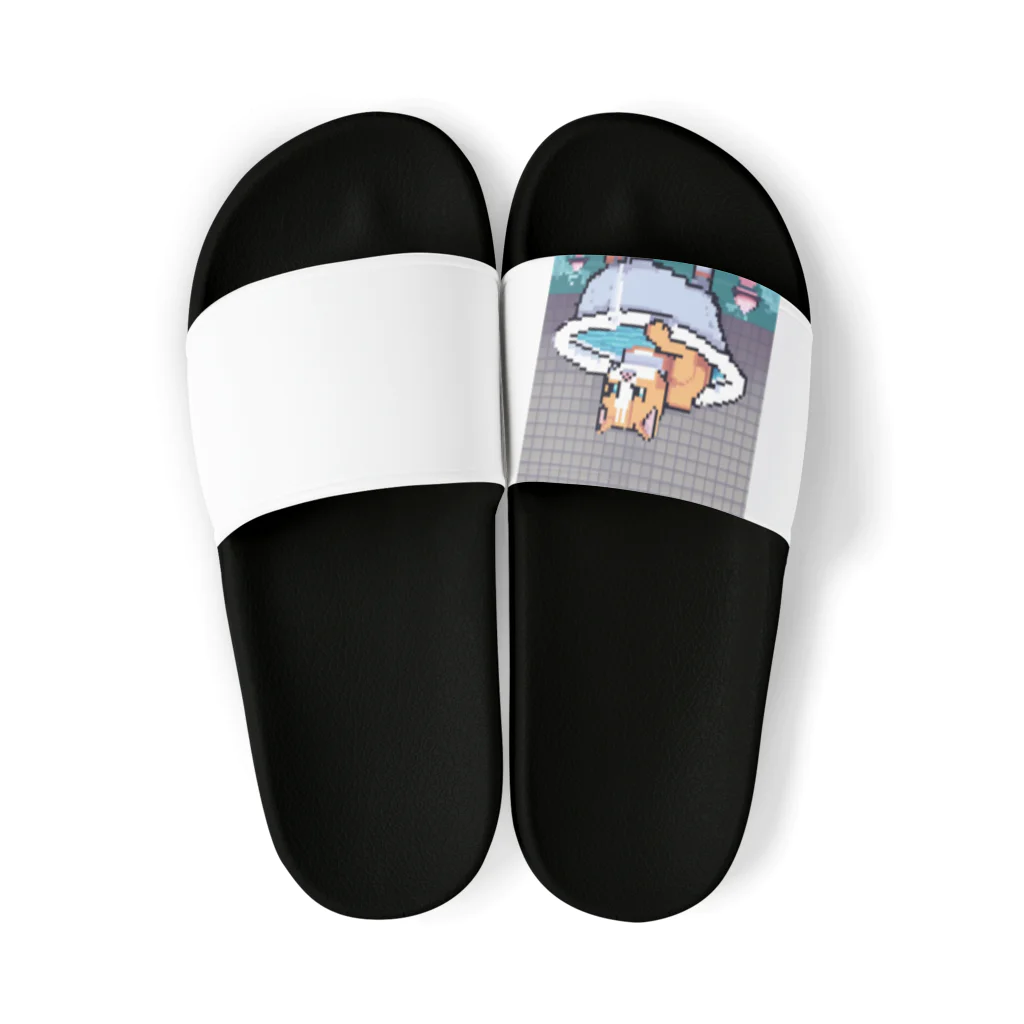 wakuwaku26のお風呂に入るボス猫 Sandals