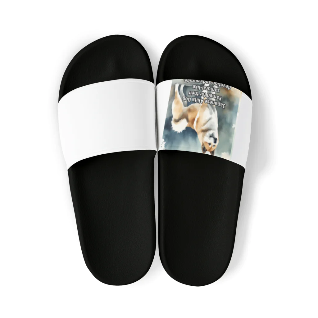 宗乙商店のSamurai Dog Sandals