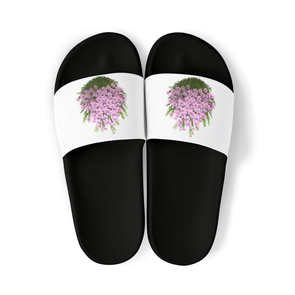 みさとの春の花 Sandals