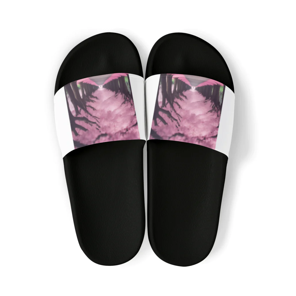りばーあにまるの満開の桜道 Sandals