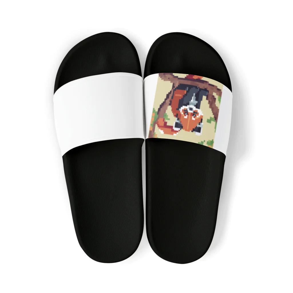 shoheiiwasaのアライグマ Sandals