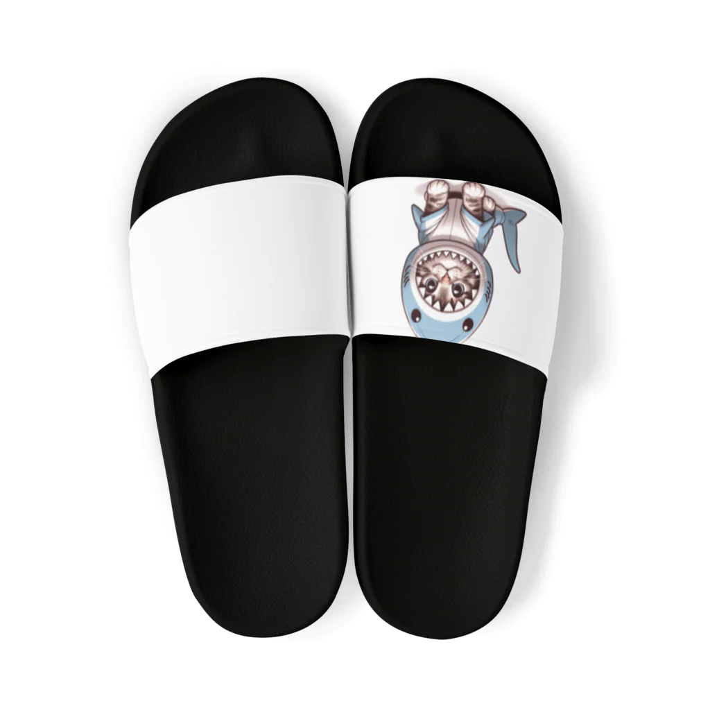 IloveCatのサメのフードを被った愛くるしい子猫 Sandals