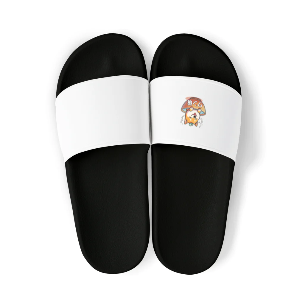 ピヨるっちの「ワンワンお風呂茶碗シリーズ」🐶 Sandals