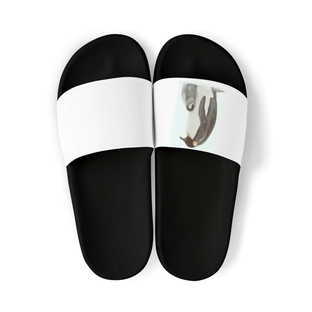 SWQAの皇帝ペンギン Sandals