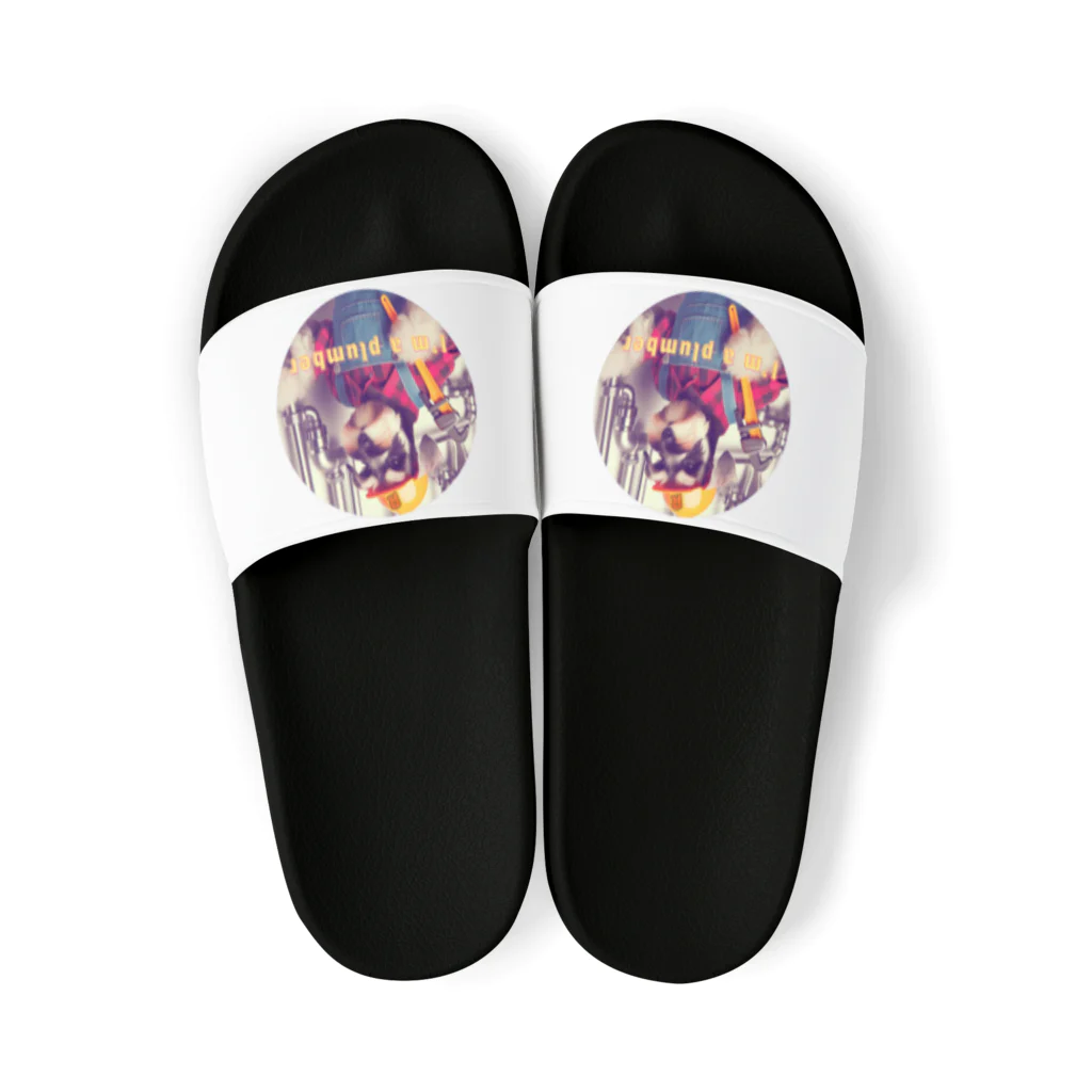 レミオのひとりごとチャンネルの働くワンコ Sandals