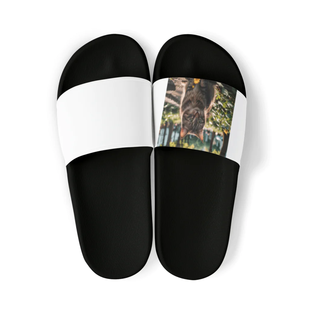 AI Design Labの旅する猫 Sandals