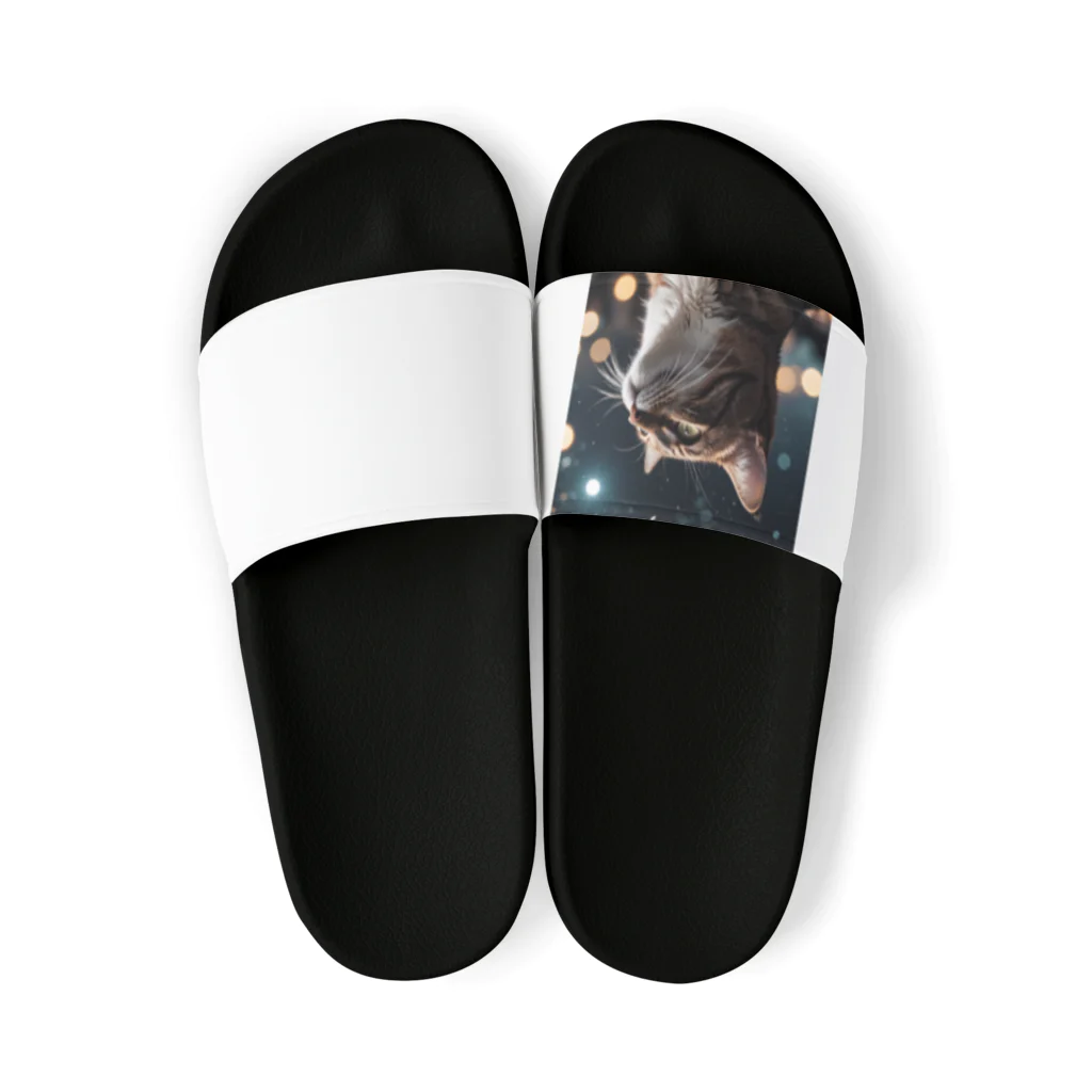 AI Design Labの星を見る猫 Sandals